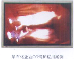 LTV火焰電視監視裝置